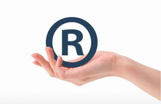理達(dá)知識產(chǎn)權(quán) 商標(biāo)注冊有風(fēng)險 選代理機(jī)構(gòu)需謹(jǐn)慎