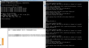 計算機網絡工程師課程深度解析與學習交流